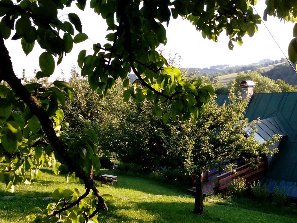 U Mushera Vrchlabí Exterior photo